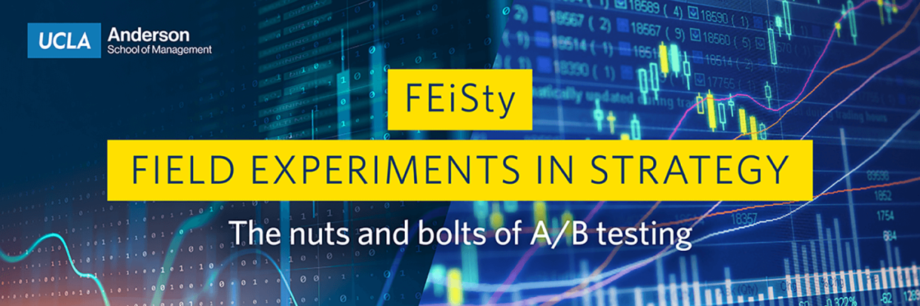 FEiSty Field Experiments in Strategy - The nuts and bolts of A/B testing