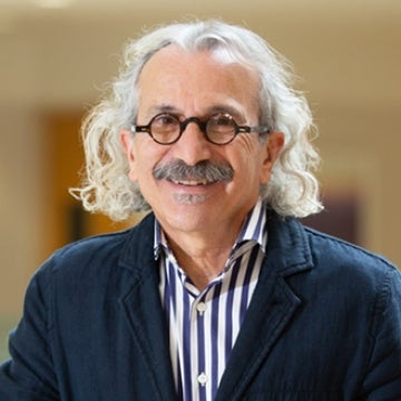 Portrait image of Reza Ahmadi