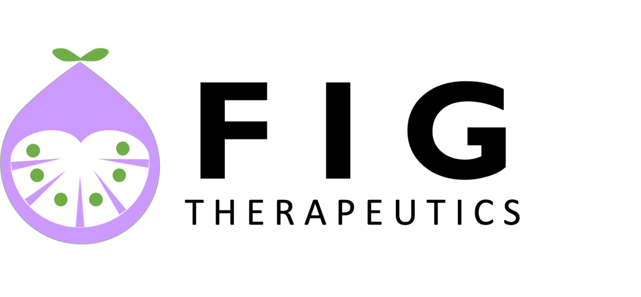 fig logo